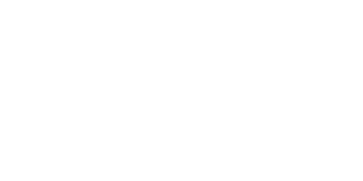 logo_zebra systems_400x200px_pozadi a pruhledne pozadi.png.002